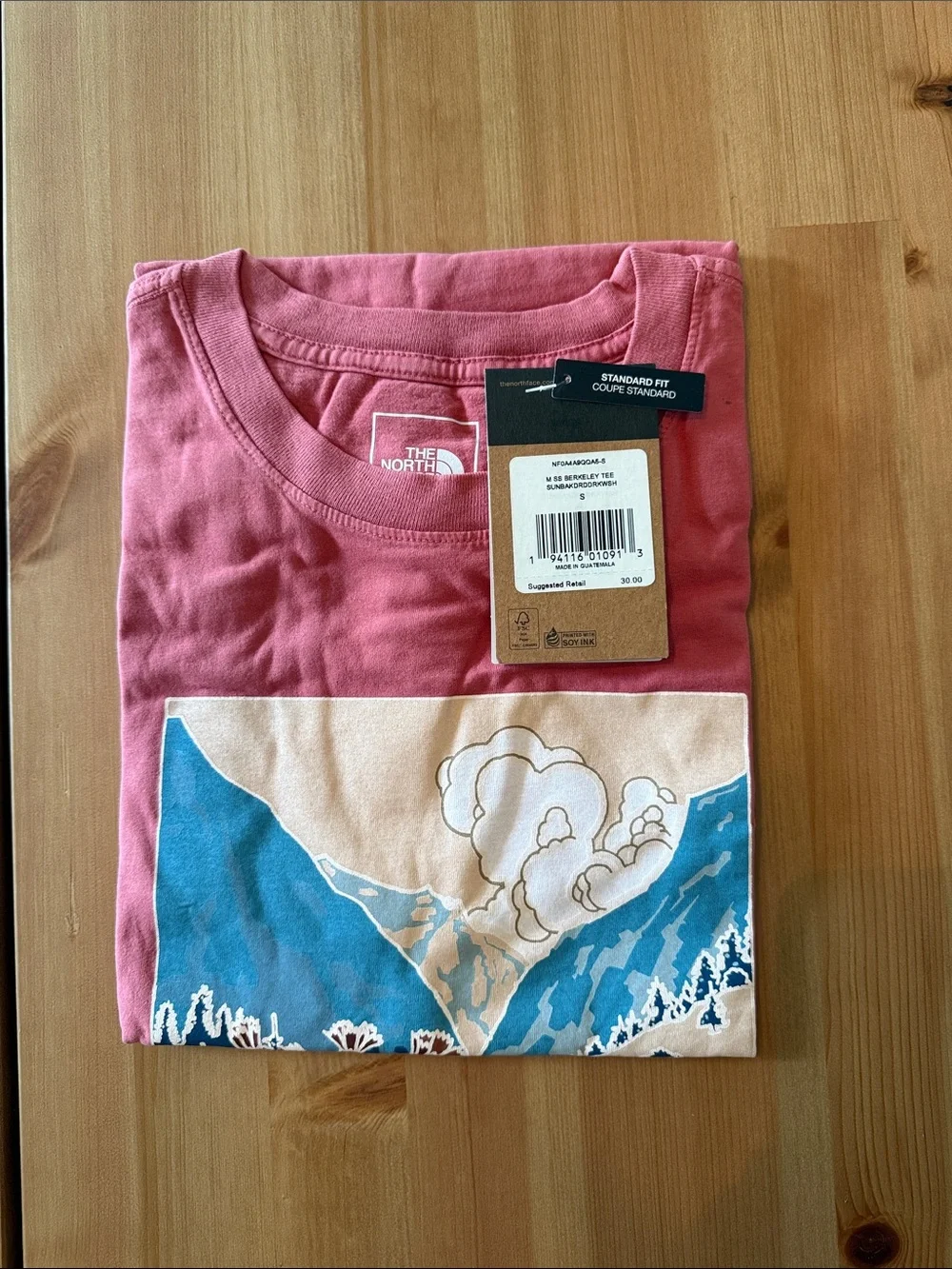 The North Face Mountain Graphic Tee - Dusty Rose & Blue